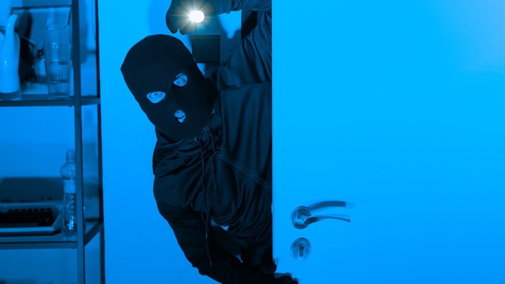 How Does Active Deterrence Intelligently Stop Intruders