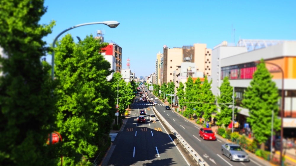 IP Camera Storage Explained Your Simple Guide to Choosing the Best Video Recording Solution