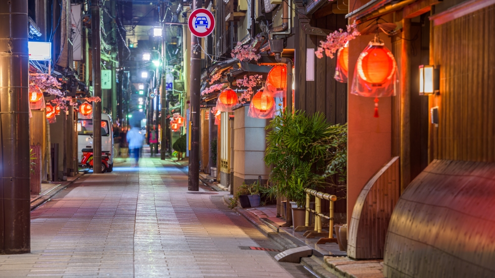 Illuminating the Dark How High-Performance PTZ Cameras Redefine Nighttime Security